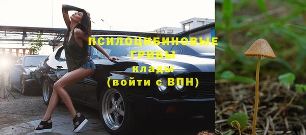 стаф Инсар