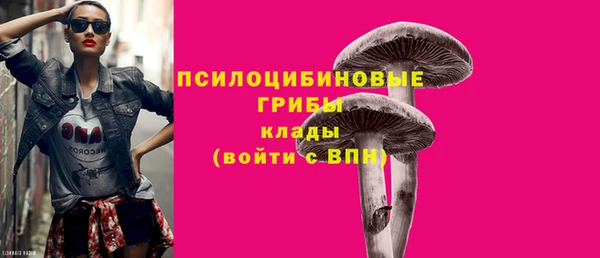 стаф Инсар