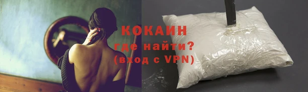 стаф Инсар