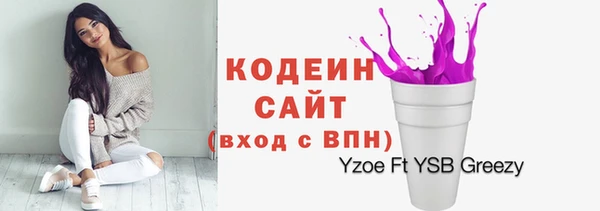 стаф Инсар