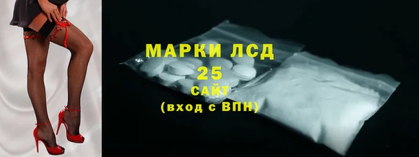 стаф Инсар