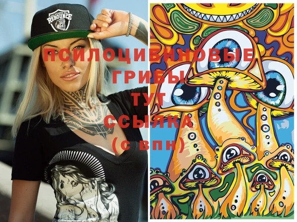 PSILOCYBIN Инта