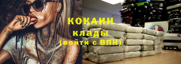 стаф Инсар