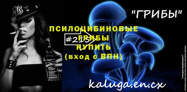 стаф Инсар