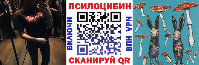 Псилоцибиновые грибы Psilocybe  Купить закладки  Воскресенск 