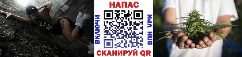 Купить закладки  Воскресенск  Марихуана сатива 